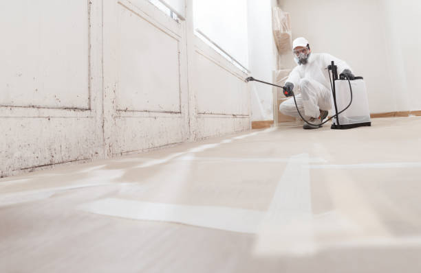 24/7 Emergency Attic Mold Removal experts in Henderson, KY